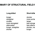 Long vs Short B .jpg
