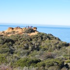 Torry Pines Nature Reserve-8.jpg