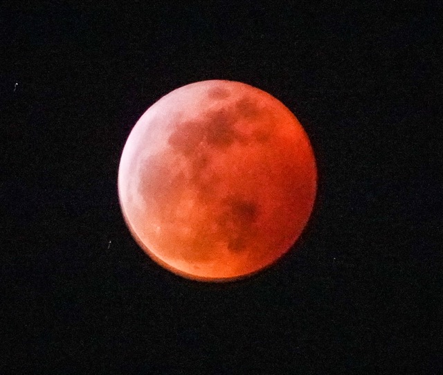 Super Blood Wolf Moon eclipse-53.jpg