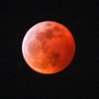 Super Blood Wolf Moon eclipse-53.jpg