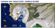 4A Isabela Island Tagus Cove