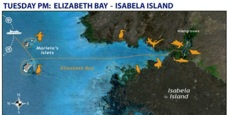 4P Isabela Island Elizabeth Bay