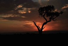 Masai Mara Sunset 4  Sc