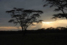 Nakuru Sunset 1