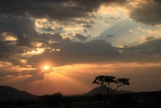 Serengeti Sunset  Sc 2