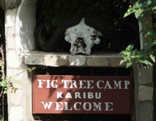 03a Fig Tree Camp sign
