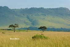03i Landscape African