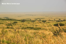 03q Masa Mara landscape