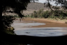 06d Samburu Preserve river   3198