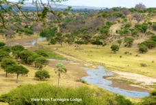 09b View from Lodge Tangangire River by