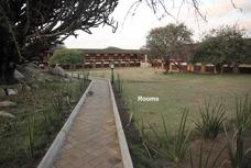 11f Serengeti Safari Lodge