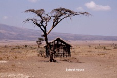 12l The School house
