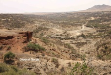 12n Olduvai Gorge