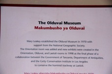 12o Olduvai Gorge museum