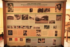 12p Olduvai Gorge museum