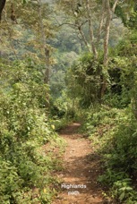 13a Highlands path