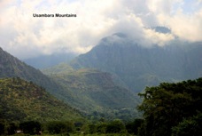 14  Usambara Mountains