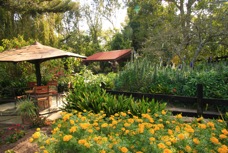 14f Muller's Mt Lodge flower gardens