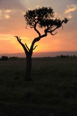 Masai Mara Sunset 3  Sc