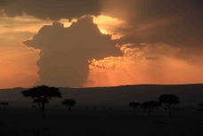 Masai Mara Sunset 7  Sc