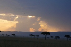 Masai Mara Sunset Sa 0367