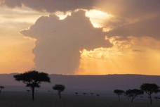 Masai Mara Sunset Sa 0377