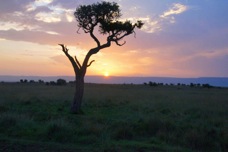 Masai Mara Sunset Sa 0389