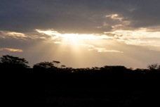 Masai Mara Sunset Sa 0922