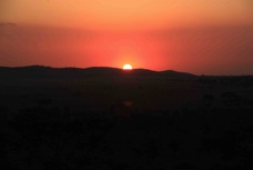 Serengeti Sunset  Sc 5