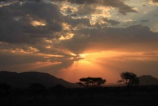 Serengeti sunset  Sc 4