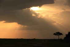 Masai Mara Sunset 1 Sc