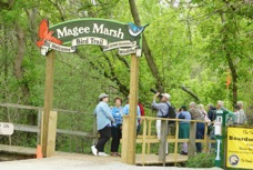 Magee Marsh Bird Trail 5937