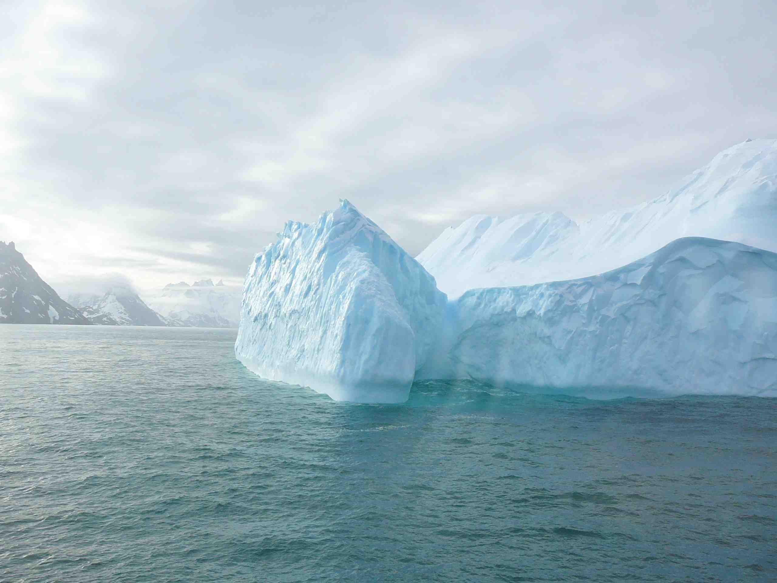 Iceberg at Gold Bay 0606.jpg